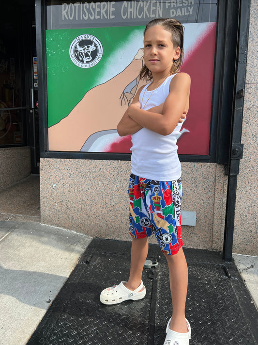 Flow Society Kids & Adult Italian Pride Shorts